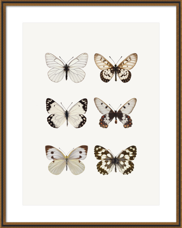 The Butterfly Effect | Artfully Walls