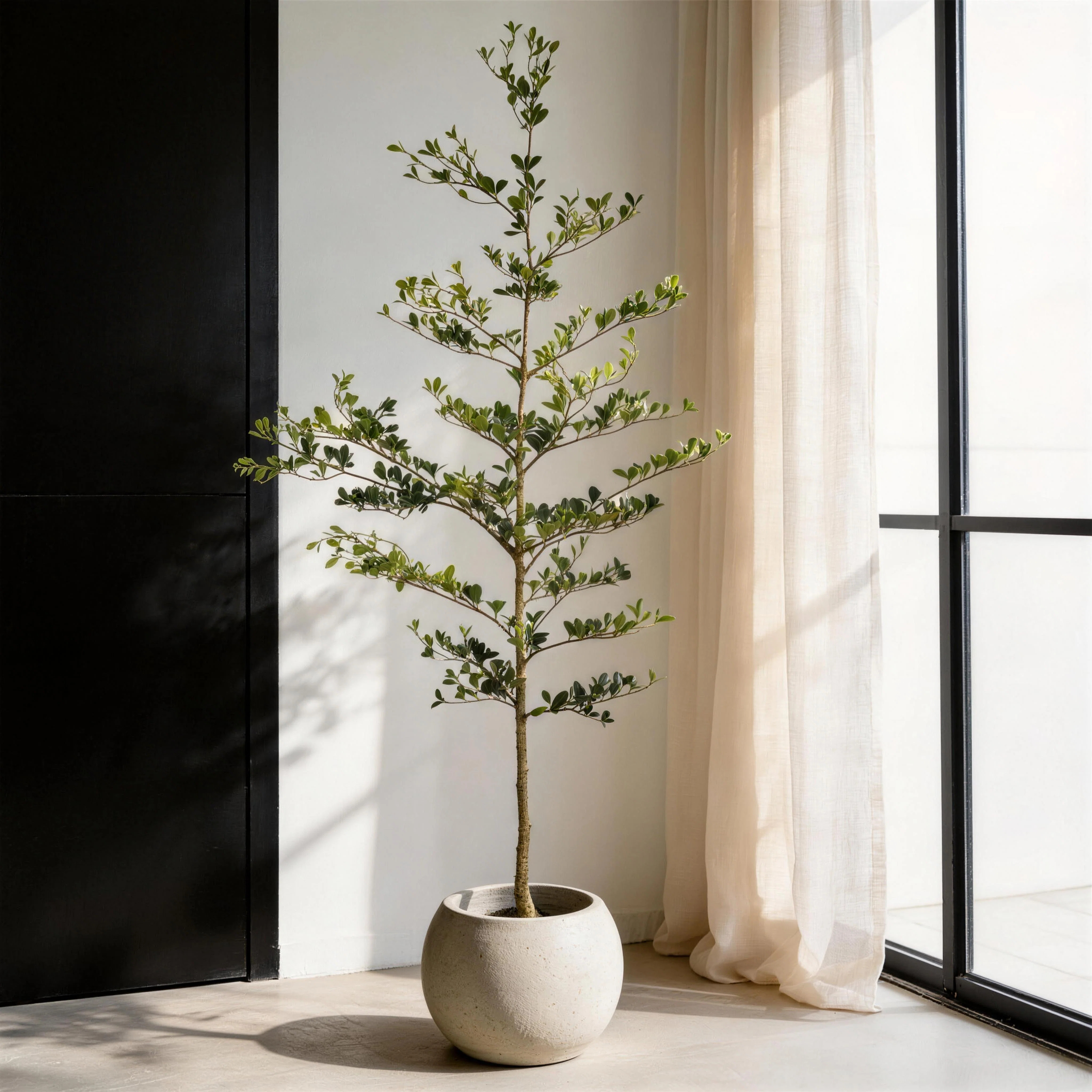 7Ft Artificial Olive Tree With Pot, Realistic Fake Olive Plants For Home Decor | Wayfair North America