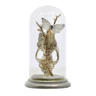 8.5" Cloche with Animal Skull Tabletop Décor by Ashland® | Michaels | Michaels Stores