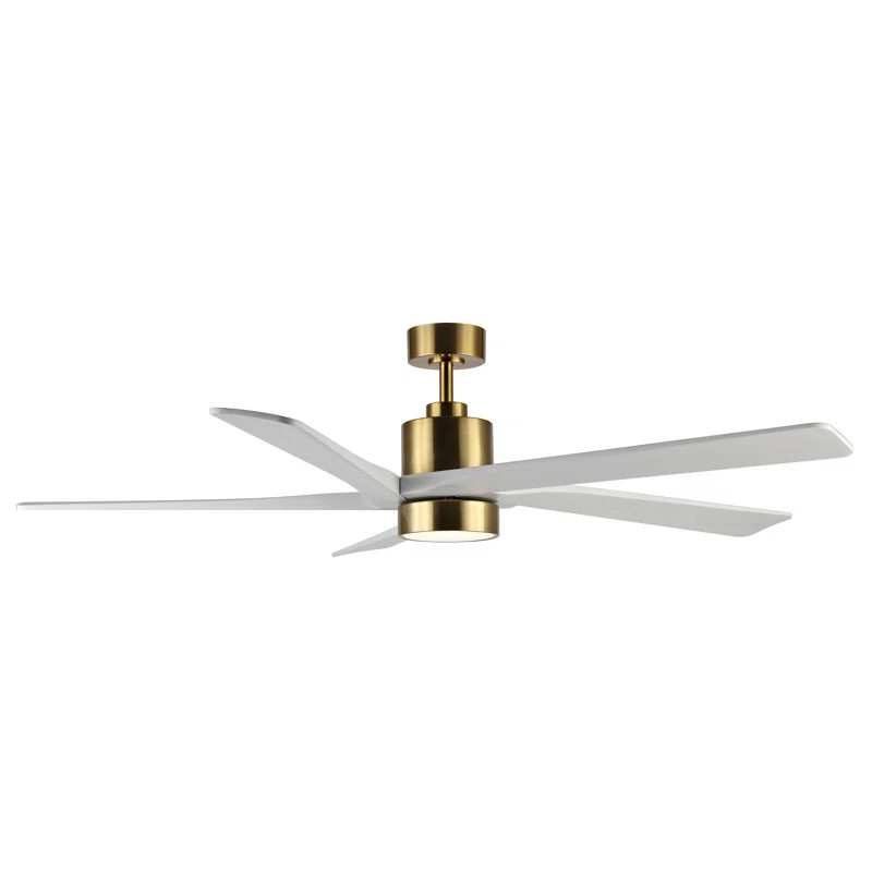 Vivianna 54'' Ceiling Fan with LED Lights | Wayfair North America