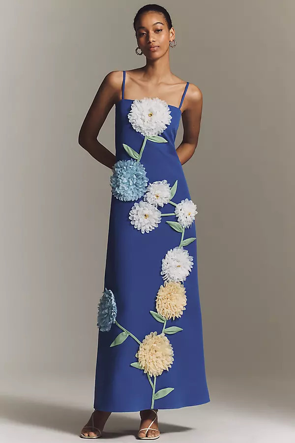 Buttercup Floral Appliqué Maxi Dress | Anthropologie (US)