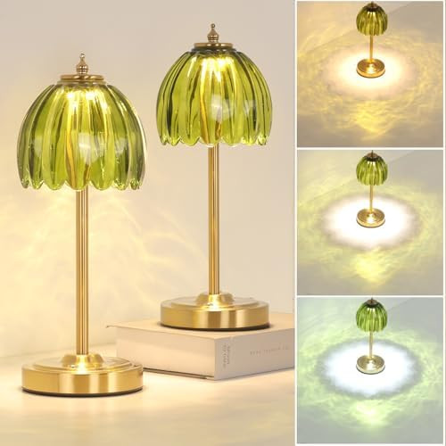 Set of 2 Tulip Table Lamp with 5000mAh Battery & Touch Control, Cordless Table Lamp with 3 Colors... | Amazon (US)