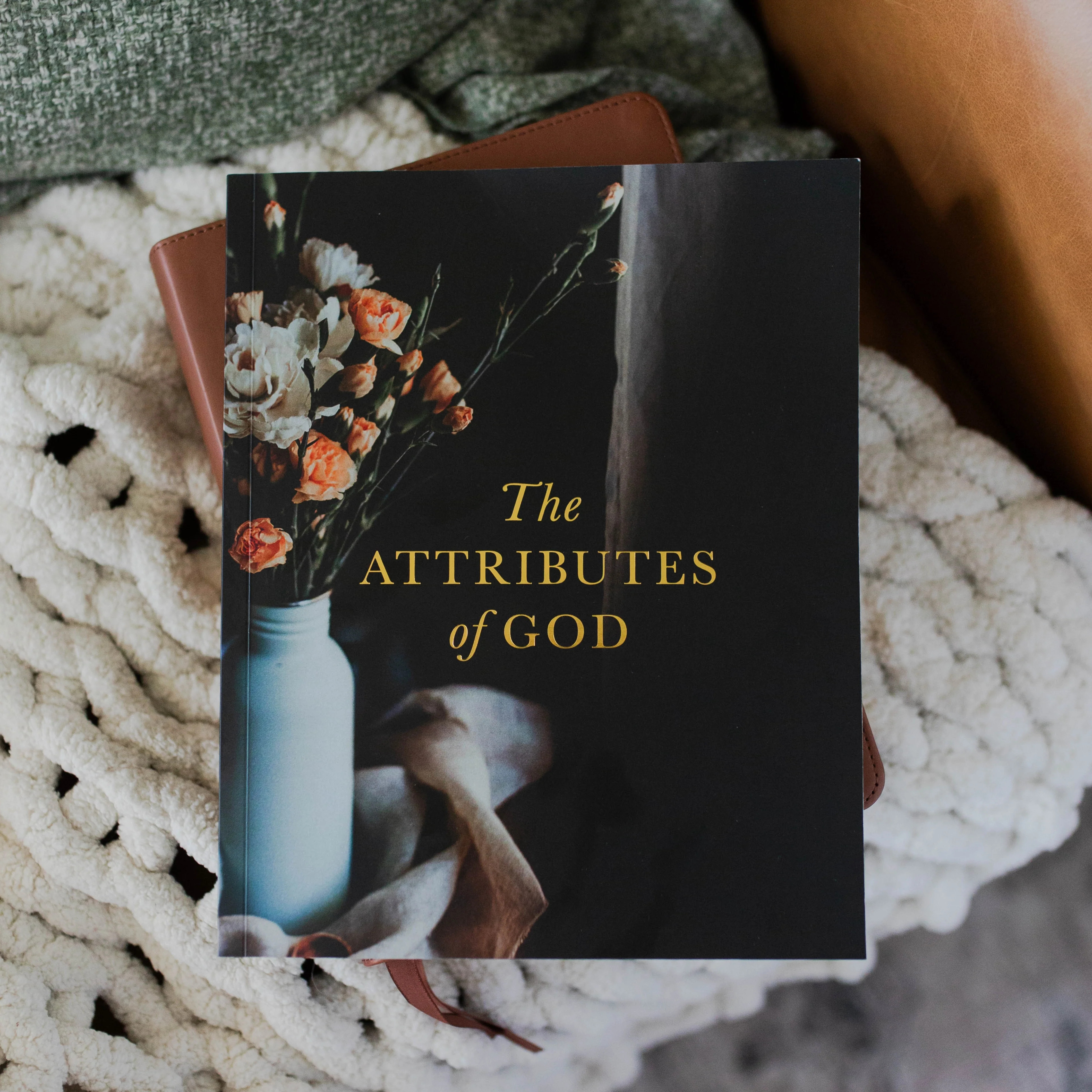 The Attributes of God Bible Study | The Daily Grace Co.