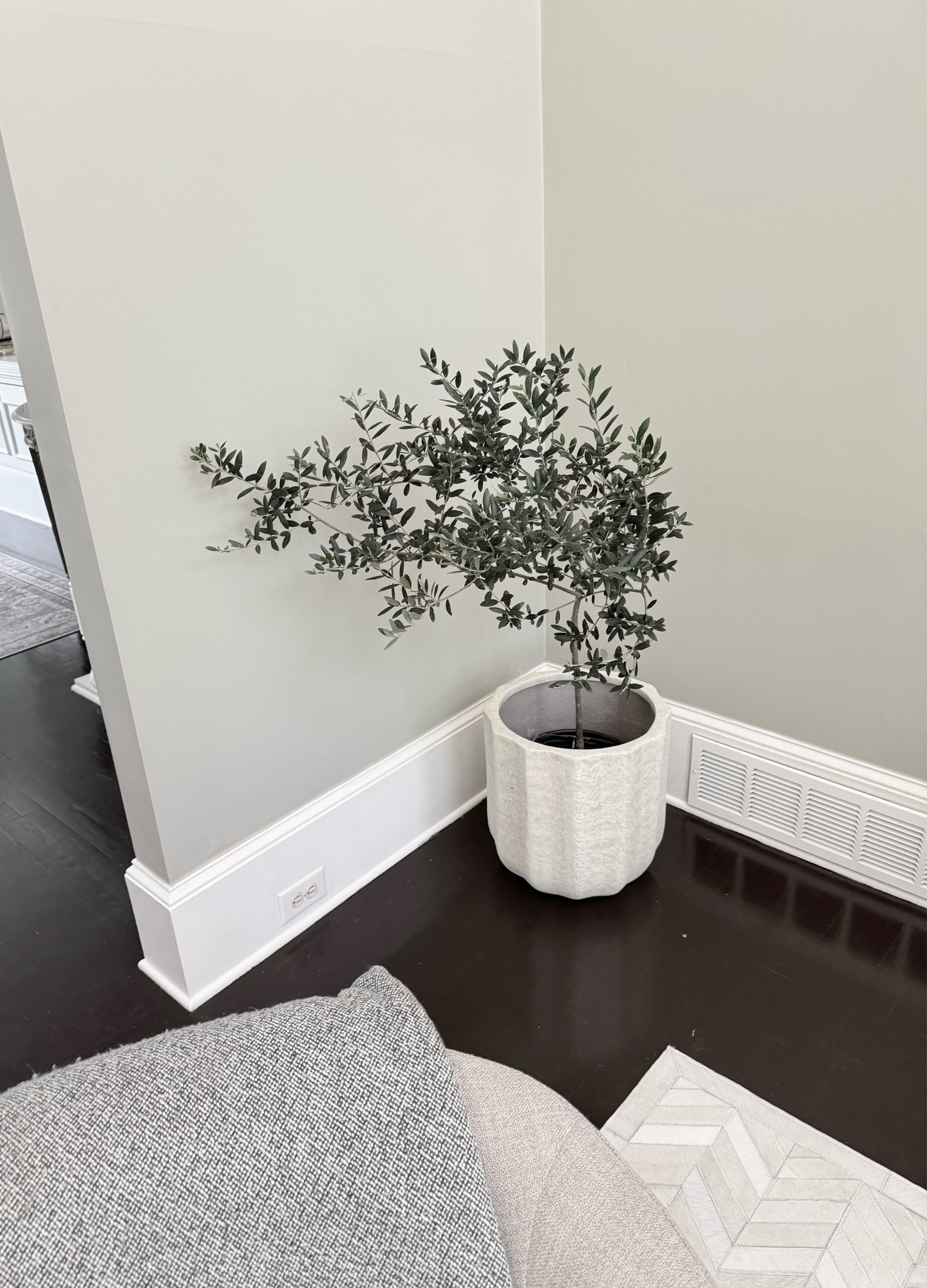 Real Olive Tree from Amazon. This tree arrived in perfect condition. Safe for pets. 

#olivetree #homedecor #loveplants #amazonfinds #amazonhome #interiordecor #potterybarn #home 

#LTKSaleAlert #LTKFindsUnder100 #LTKHome