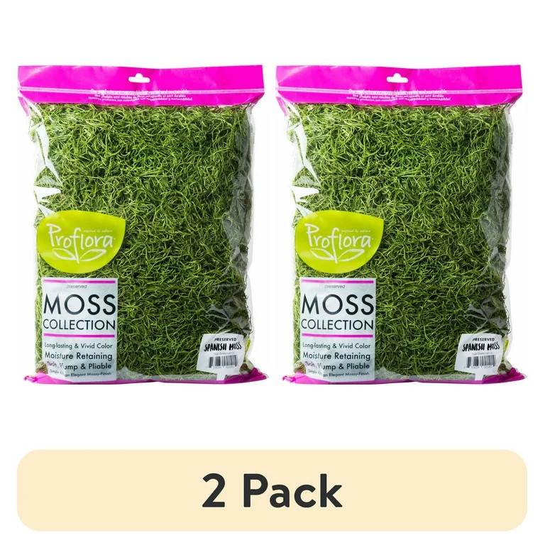 (2 pack) ProFlora Spanish Moss True Green, 16oz Floral Arranging Supplies | Walmart (US)