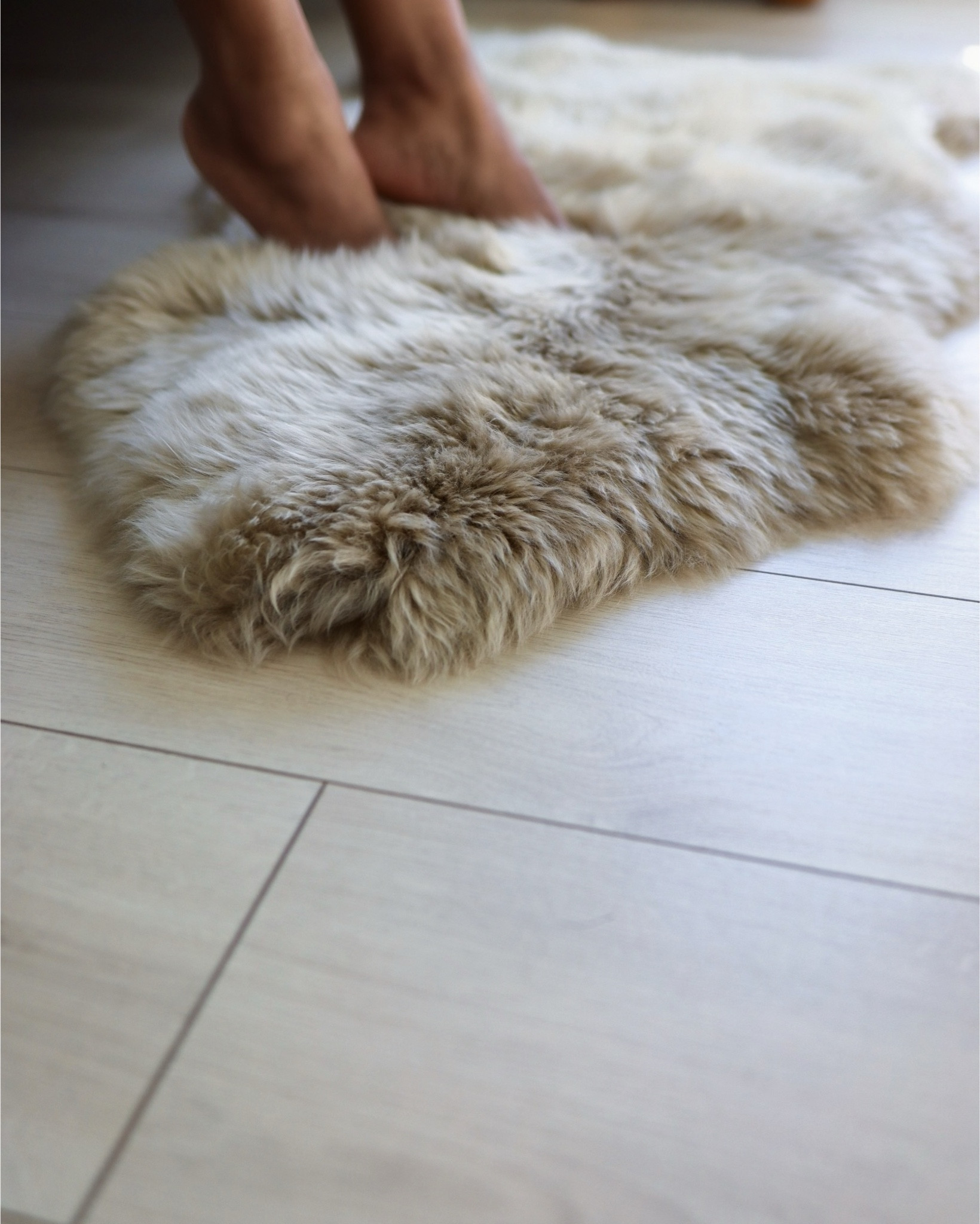 The countdown is ON! My favorite time of year is here, and I'm sharing a peek at my must-have holiday items from @mybloomist!
#holidaydecor #holidayprep #festiveseason #holidayseason 

#LTKSeasonal #LTKGiftGuide #LTKHoliday