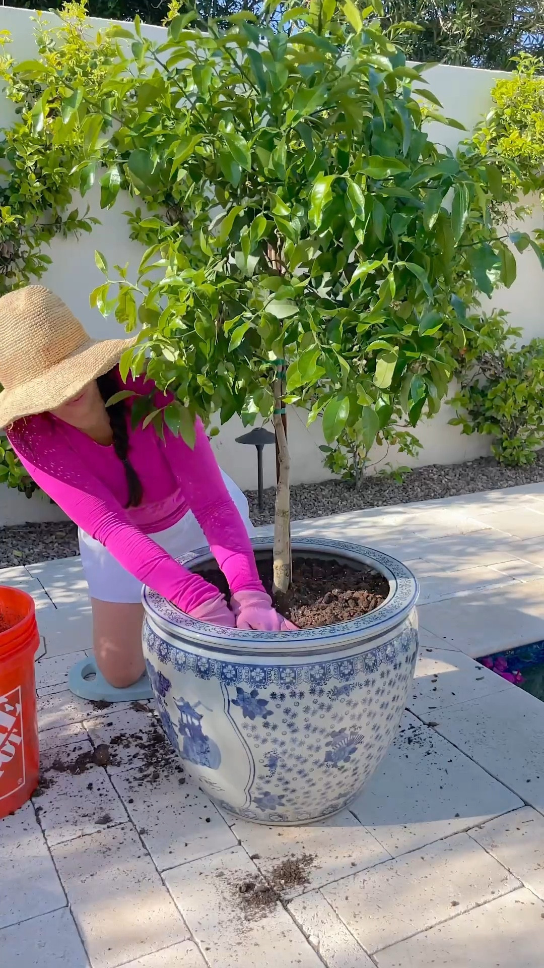 So in love with this chinoiserie blue and white planter pot! I wish I could have these all around my yard but one will do for now 💗 thinking about them planting kumquats next but what exactly do ya’ll use those for? Can you really eat them whole? 

#LTKHome #LTKSeasonal #LTKActive