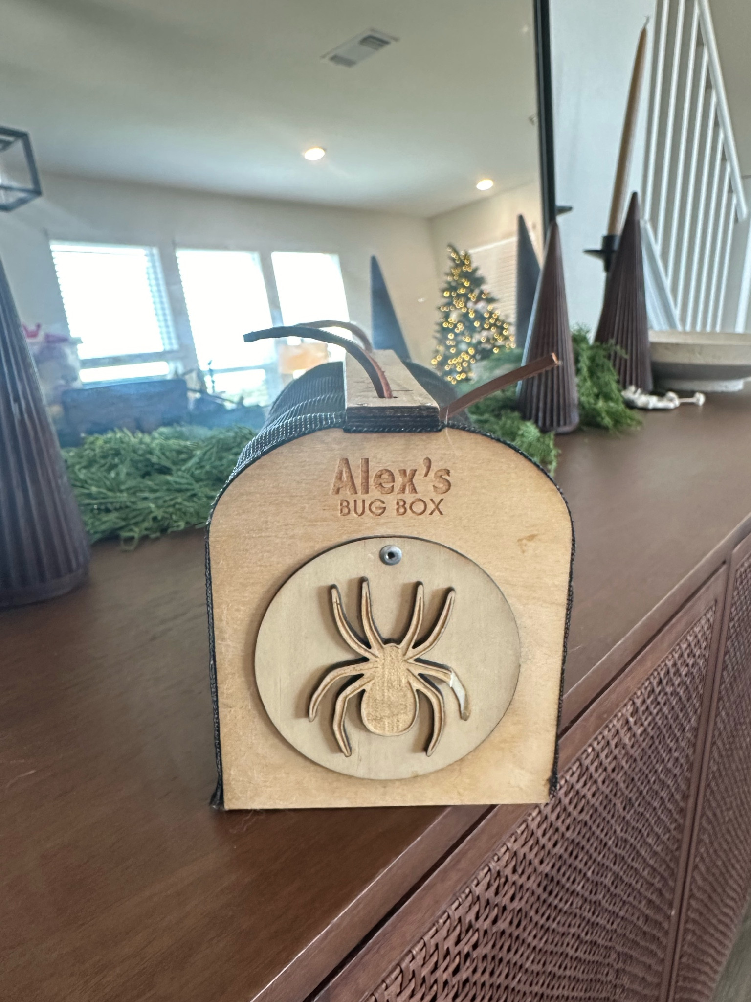 For the toddler boy who loves 🐞🐛

#LTKGiftGuide #LTKSeasonal #LTKHoliday