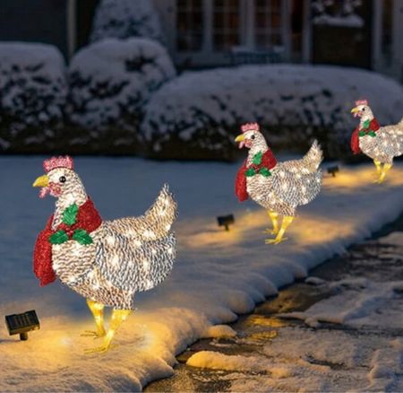 #chicken #lightupchicken #tooster #lawnornament #chickenornament #lightuplawnornament #holiday #christmas #festive #holidayhome  #giftsforhim

#LTKSeasonal #LTKHoliday #LTKGiftGuide