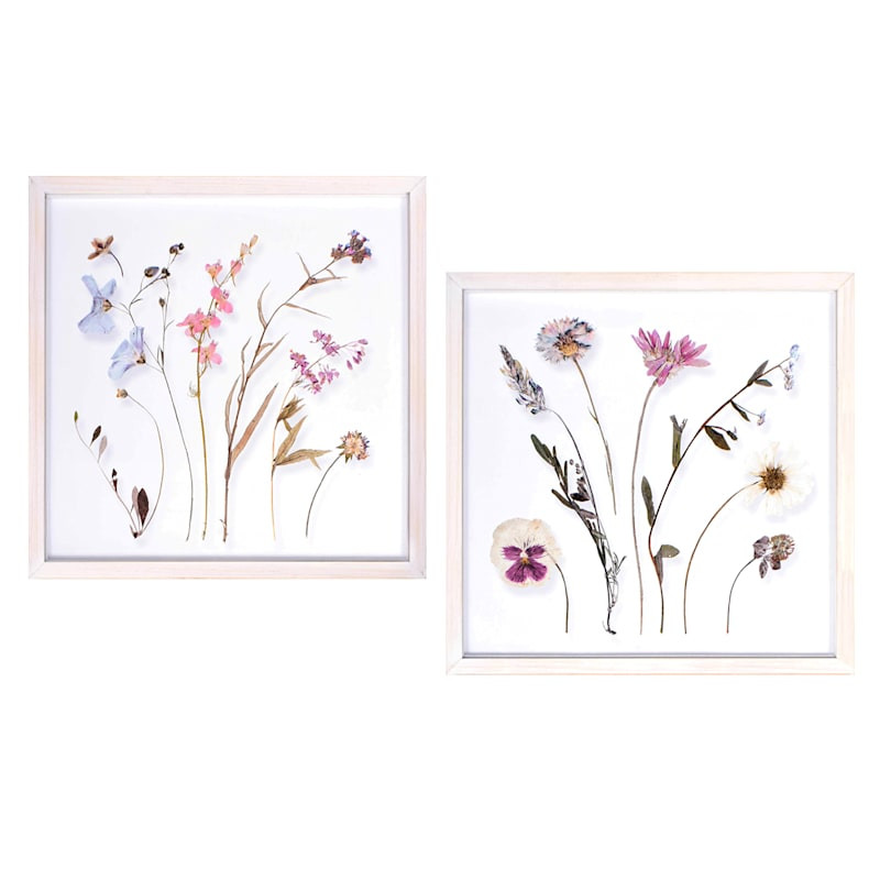 2-Piece Glass Framed Floral Shadowboxes Wall Art, 14' | At Home