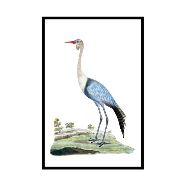 Elegant Beauty No. 2 | Urban Garden Prints