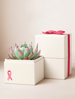 Pink Ribbon Bliss Garden | Lula's Garden