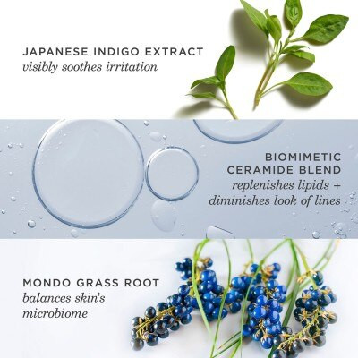 The Indigo Overnight Repair
                            50ml | Sephora UK