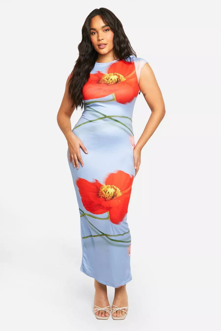 Plus Floral Super Soft Short Sleeve Maxi Dress | boohoo (US & Canada)