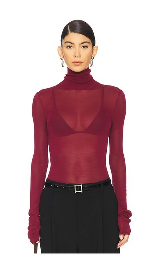 Alexander Sheer Turtleneck Sweater in Black | Revolve Clothing (Global)