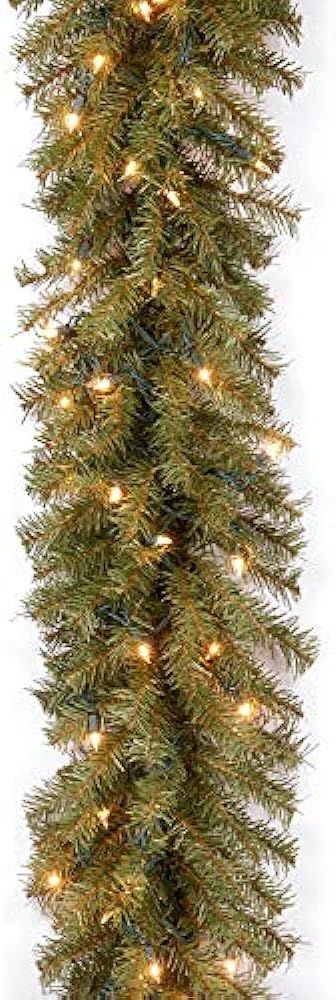 National Tree Company Pre-Lit Artificial Christmas Garland, Green, Norwood Fir, White Lights, Plu... | Amazon (US)