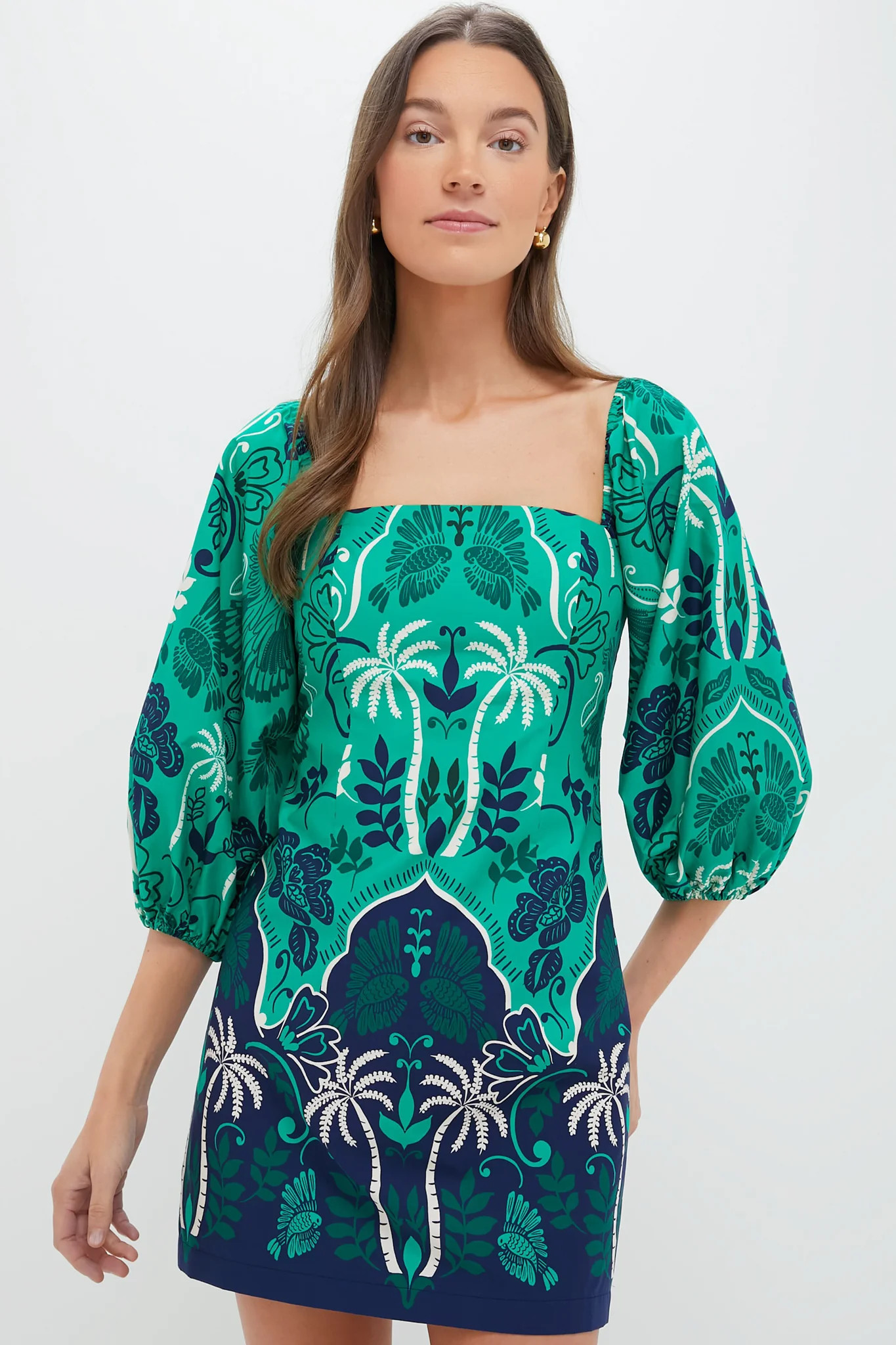 Sanibel Isle Green Montauk Dress | Tuckernuck (US)