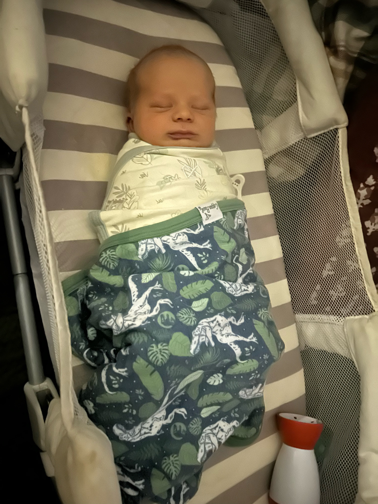 Copper pearl Jurassic park dinosaur security blankets!

Baby blankets, baby gifts, baby shower gifts, baby gift ideas, 

#LTKKids #LTKSaleAlert #LTKBaby