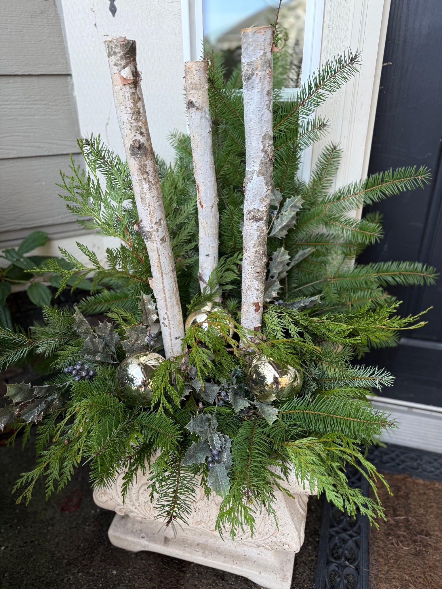 Spruced up my front porch planters, heavy on the spruce 😉 

#christmasplanters
#christmasporch
#holidayoutdoordecor


#LTKHoliday #LTKHome #LTKSeasonal