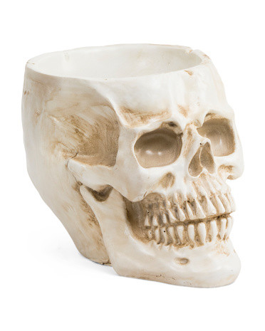 Skull Flowerpot | TJ Maxx