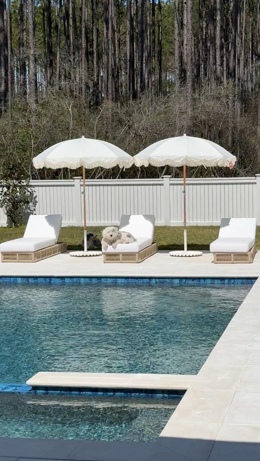 Patio furniture. Pool furniture.  Patio umbrella is an Amazon find.  So is the base!  

#LTKstyletip #LTKfindsunder100 #LTKhome