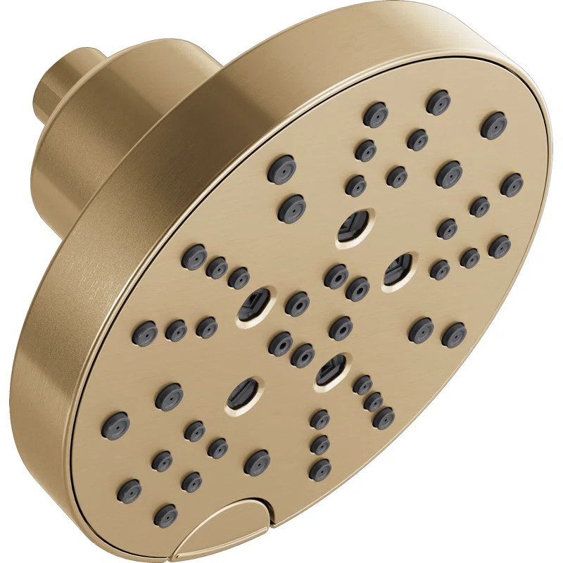 52668-CZ Pivotal Multi Function Adjustable Shower Head | Wayfair North America