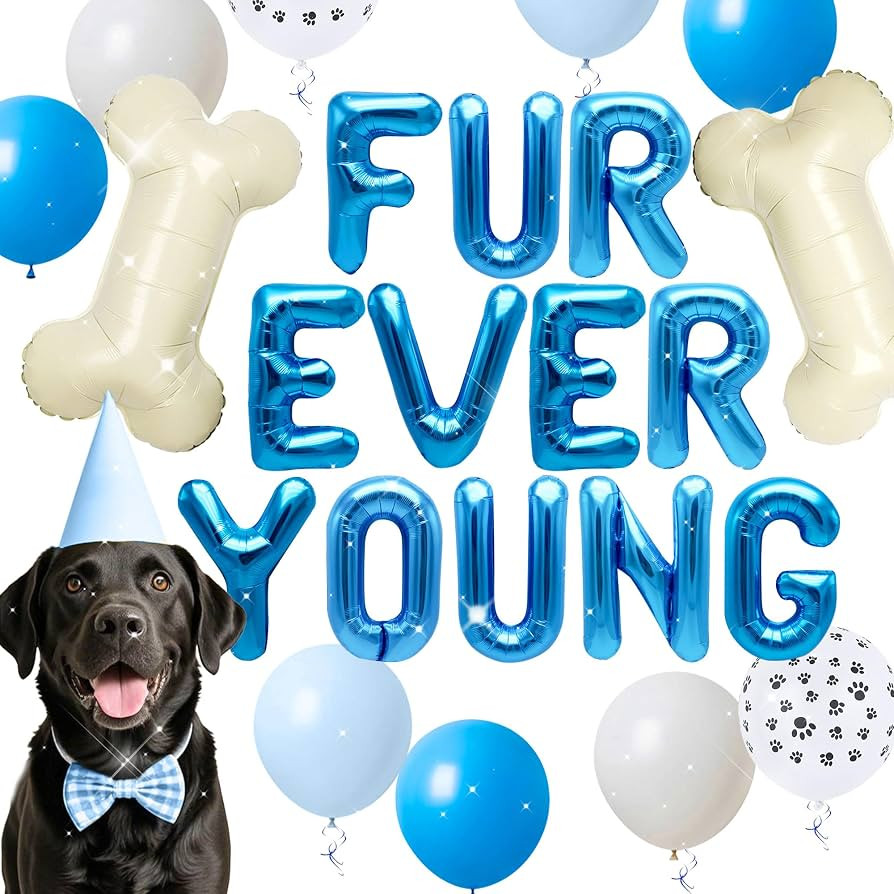 15 PCS Blue Dog Birthday Party Decoration Fur Ever Young Pet Puppy Birthday Party Supplies Decora... | Amazon (US)