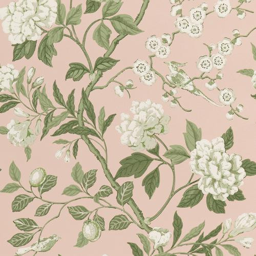 G P & J Baker Emperor'S Garden Blush Wallpaper | DecoratorsBest