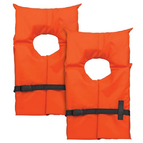 Airhead Adult Type II Keyhole Life Jacket PFD 2-Pack | Amazon (US)