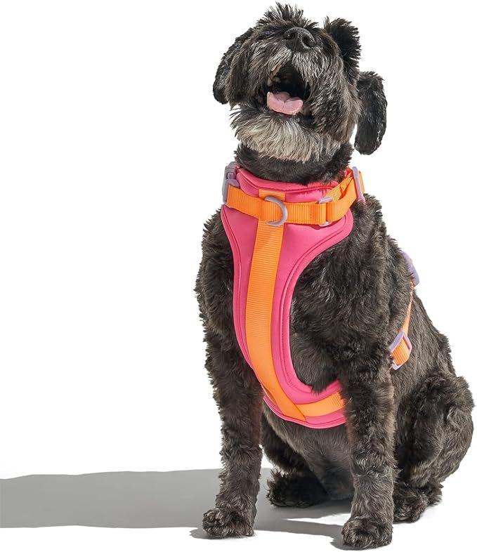 Wild One, Limited Edition, Designer Collection, Dog Harness, No-Pull Pet Harness with 3 Leash Cli... | Amazon (US)
