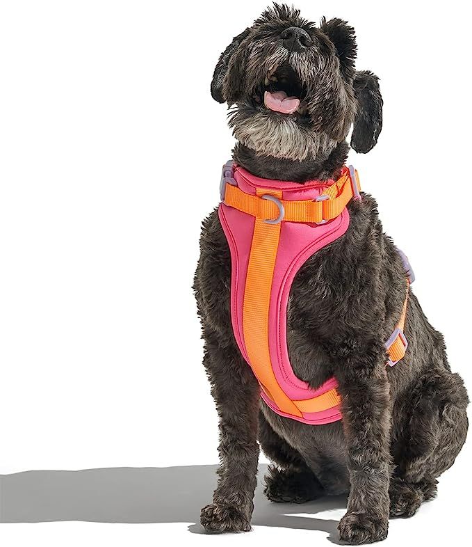 Wild One, Limited Edition, Designer Collection, Dog Harness, No-Pull Pet Harness with 3 Leash Cli... | Amazon (US)