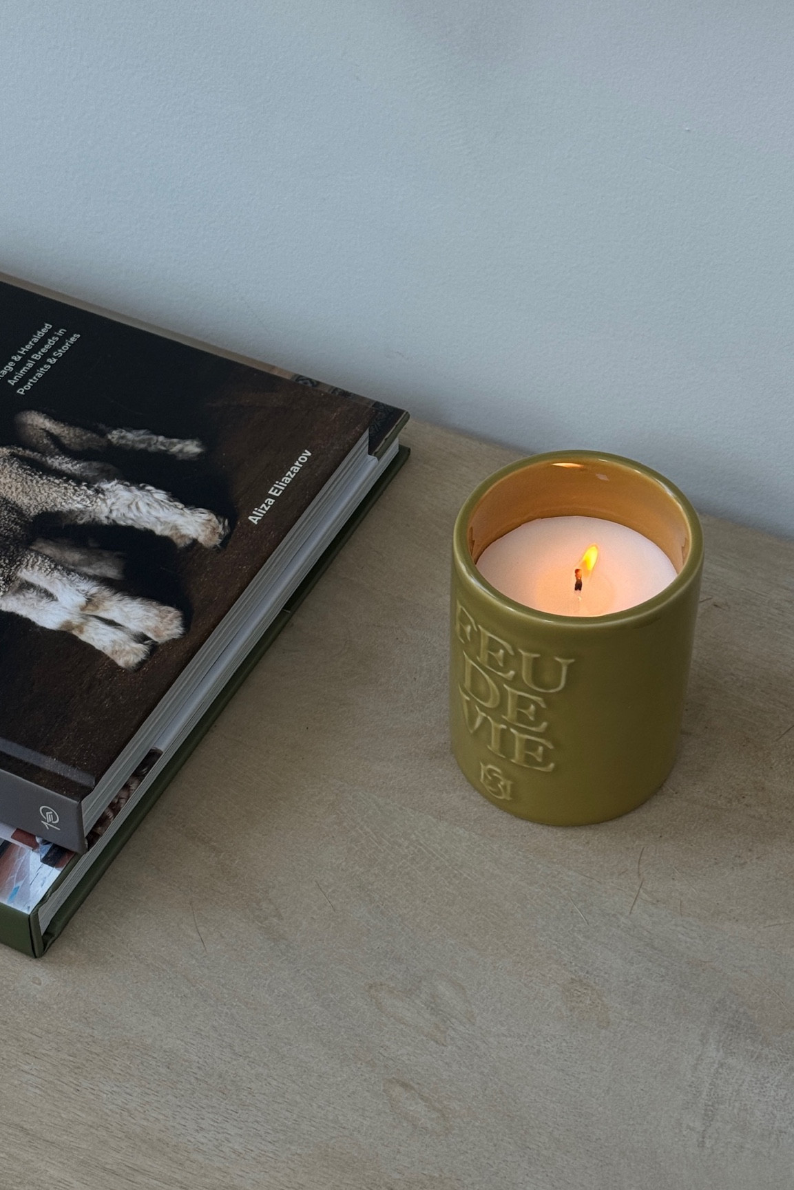such an amazing smelling candle - Sezane FEU DE VIE CANDLE
Fragrance: Basil. The herbal note of basil leaf blended with a musky green tea accord.

#LTKStyleTip #LTKSeasonal #LTKHome
