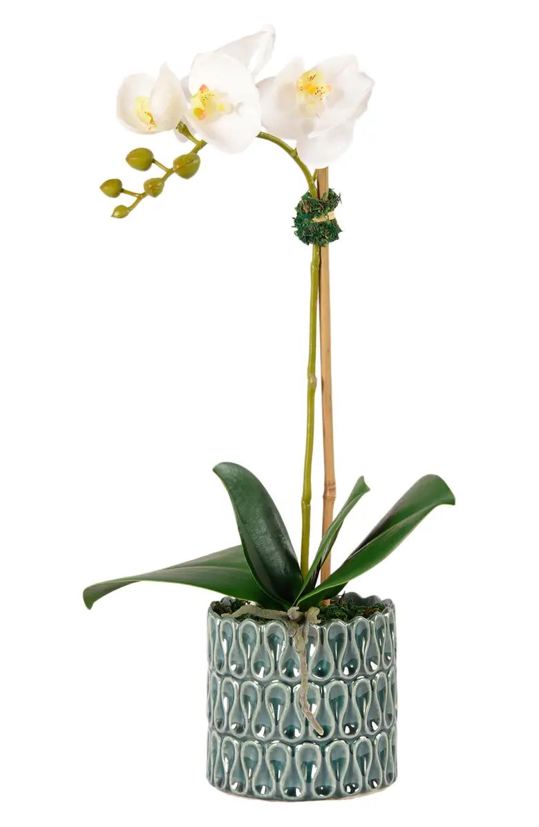 Casual Orchid Planter Decoration | Nordstrom