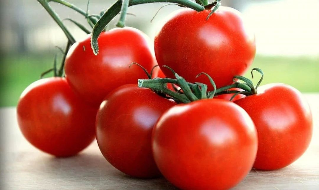 Campari Tomato Seeds 25 thru 100 Bulk Tomato Seeds | Etsy (US)