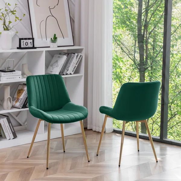 Alannah Velvet Upholstered Side Chair (Set of 2) | Wayfair North America