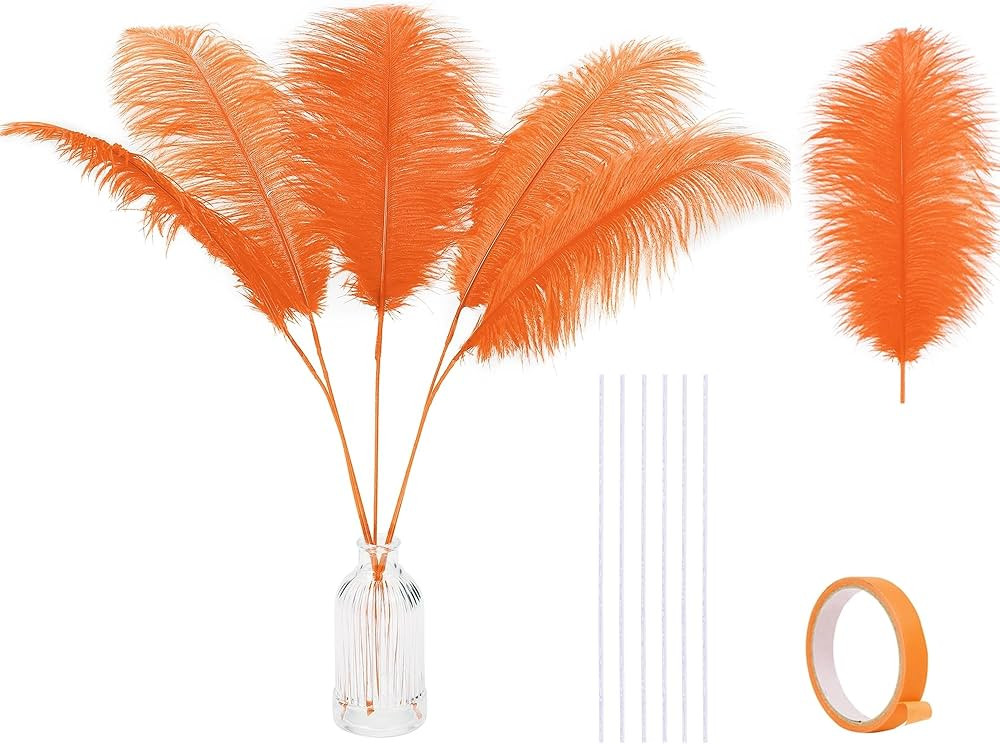 Holmgren Orange Ostrich Feathers Bulk - 20pcs Making Kit 22 Inch Ostrich Feathers for Vase, Flora... | Amazon (US)