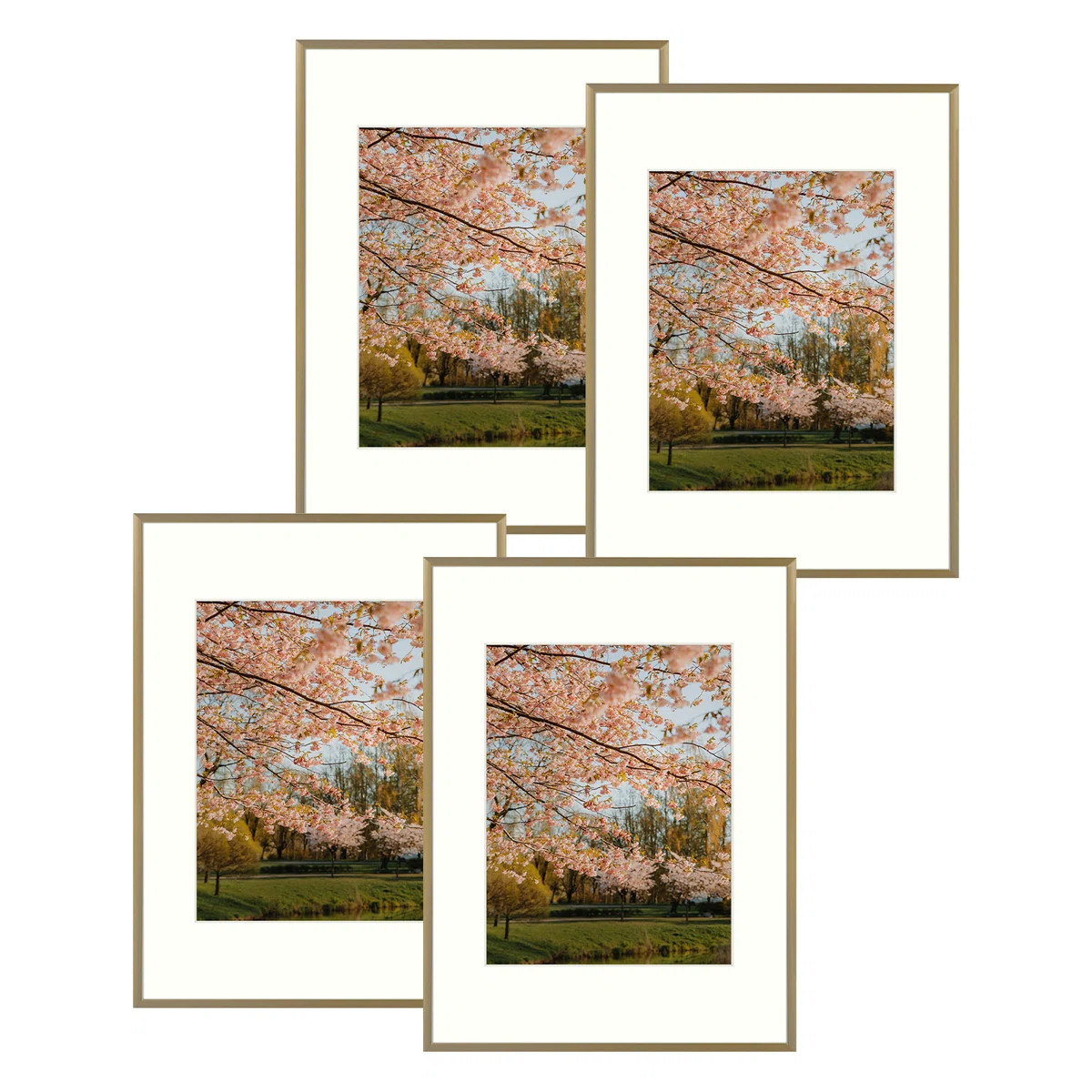 Drennon Metal Picture Frame - Set of 4 with Mat (Set of 4) | Wayfair North America