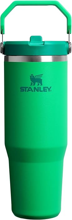 STANLEY IceFlow 2.0 Flip Straw Tumbler with Handle 30 oz | Twist On Lid and Flip Up Straw | Leak ... | Amazon (US)