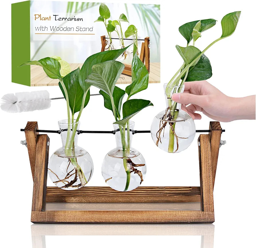 Renmxj Plant Propagation Station, Plant Terrarium with Wooden Stand, Unique Gardening Birthday Gi... | Amazon (US)