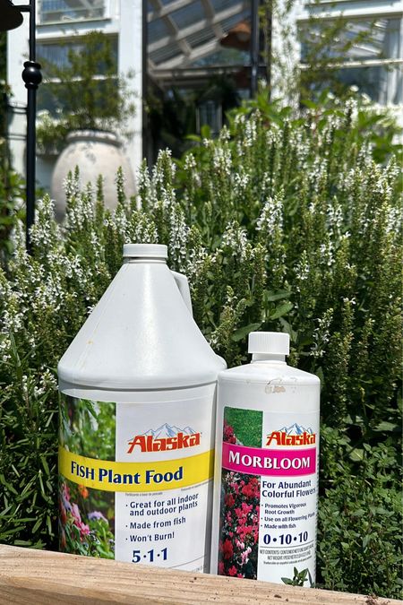 Time to fertilize your gardens, trees, houseplants and flower beds! I use Alaska products! 

#LTKSeasonal #LTKhome