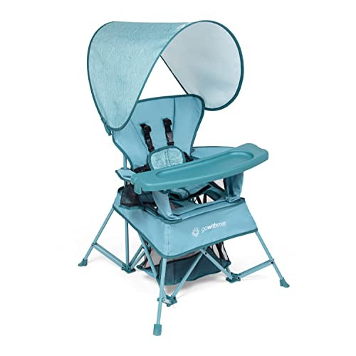 Baby Delight Go with Me Venture Portable Chair | Indoor and Outdoor | Sun Canopy | 3 Child Growth Stages | Blue Wave | Amazon (US)