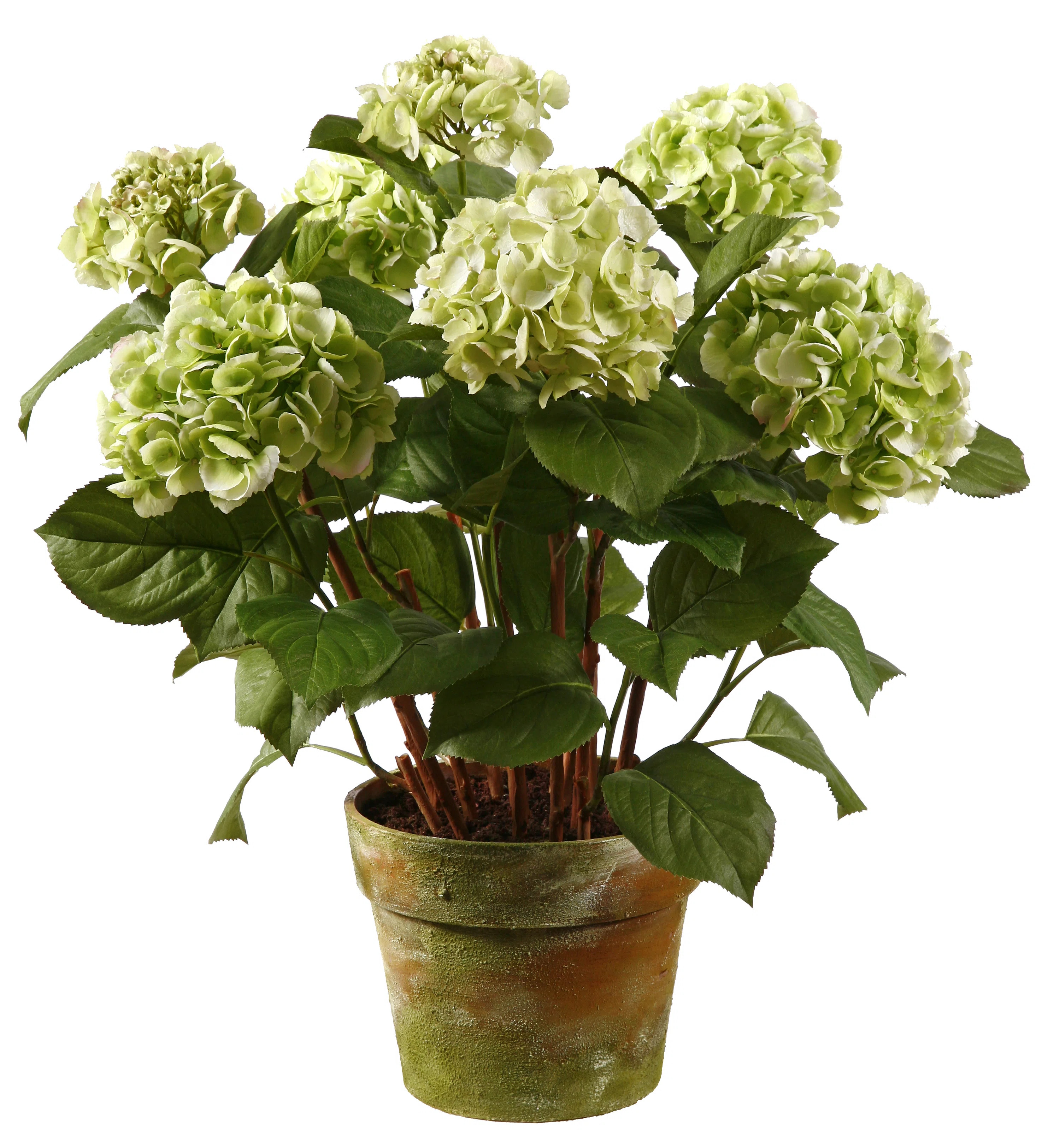 Hydrangea Arrangement in Pot | Wayfair North America