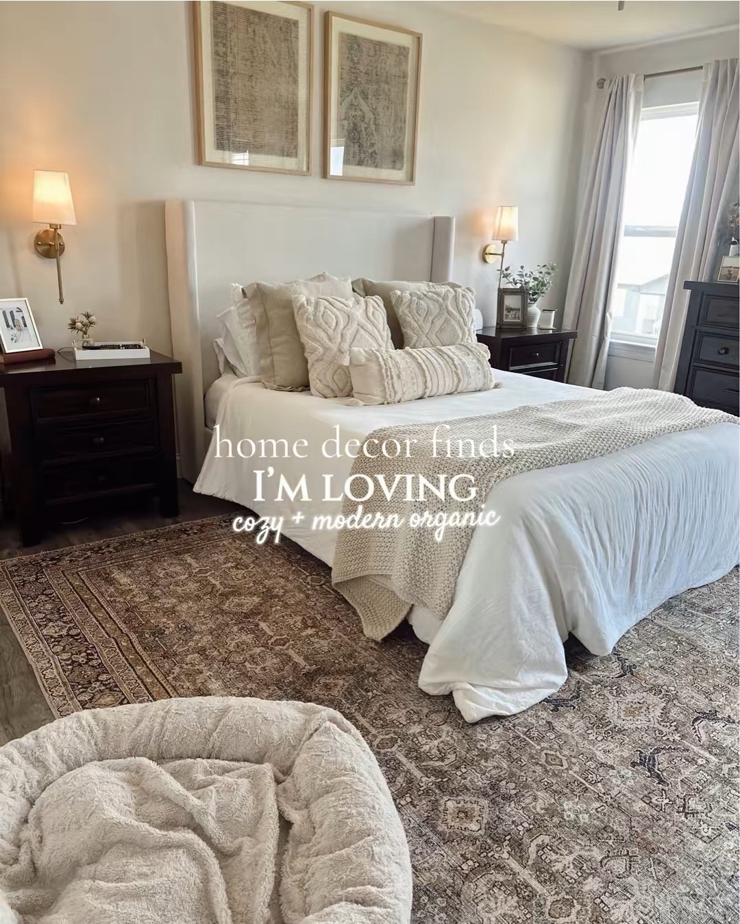 cozy home decor finds 🫧🧸🧺🕊️

#LTKHome #LTKU #LTKdayinmylife