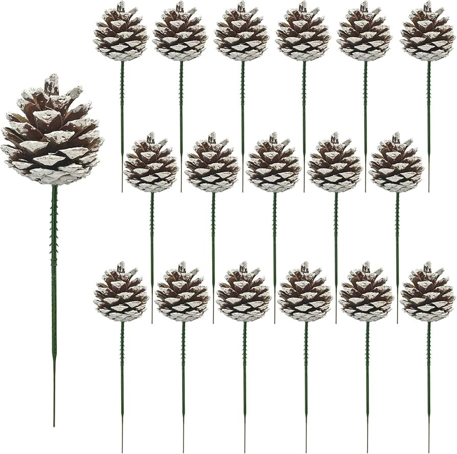 20 PCS Christmas Pine Cones, 2-2.4 Inch Large Natural Pine Cones, Snow Pinecones with 5 Inch Wire... | Amazon (US)