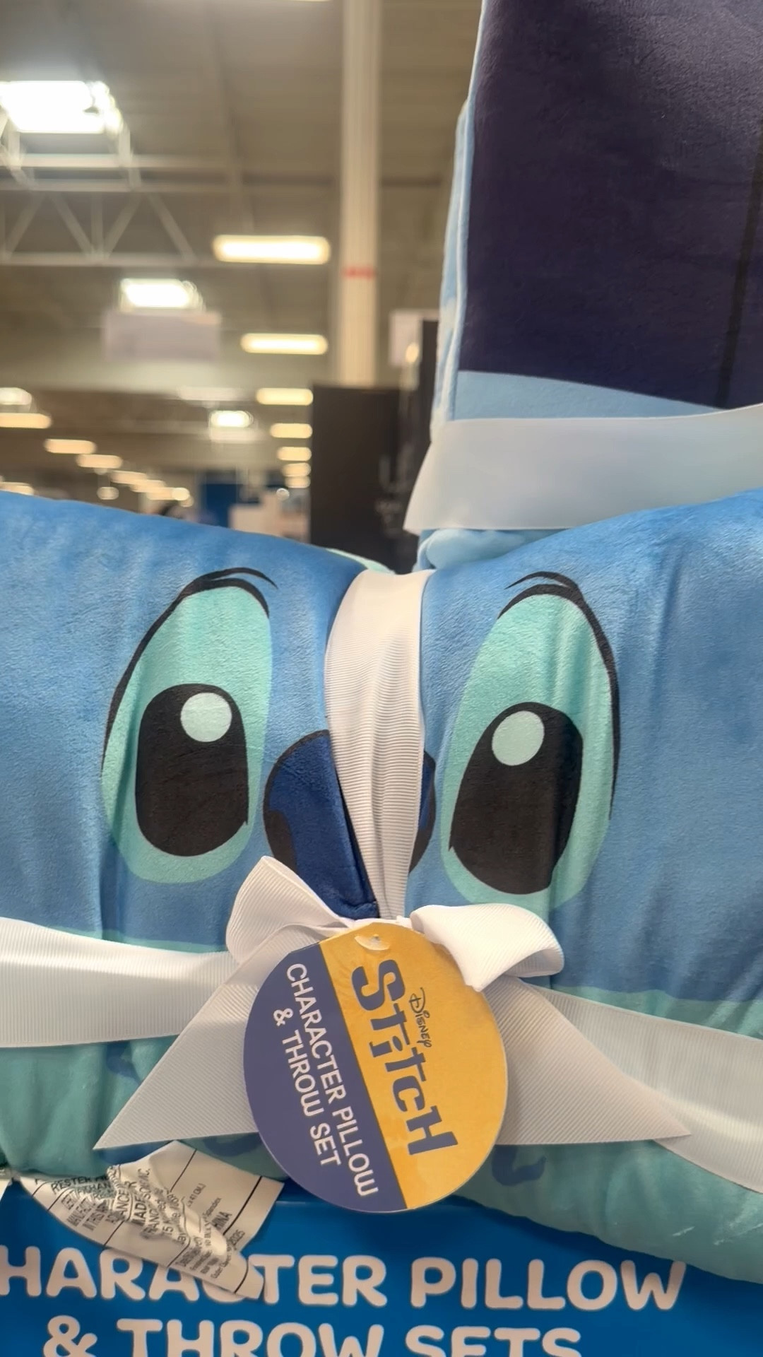 Disney Pillow & Throw Sets