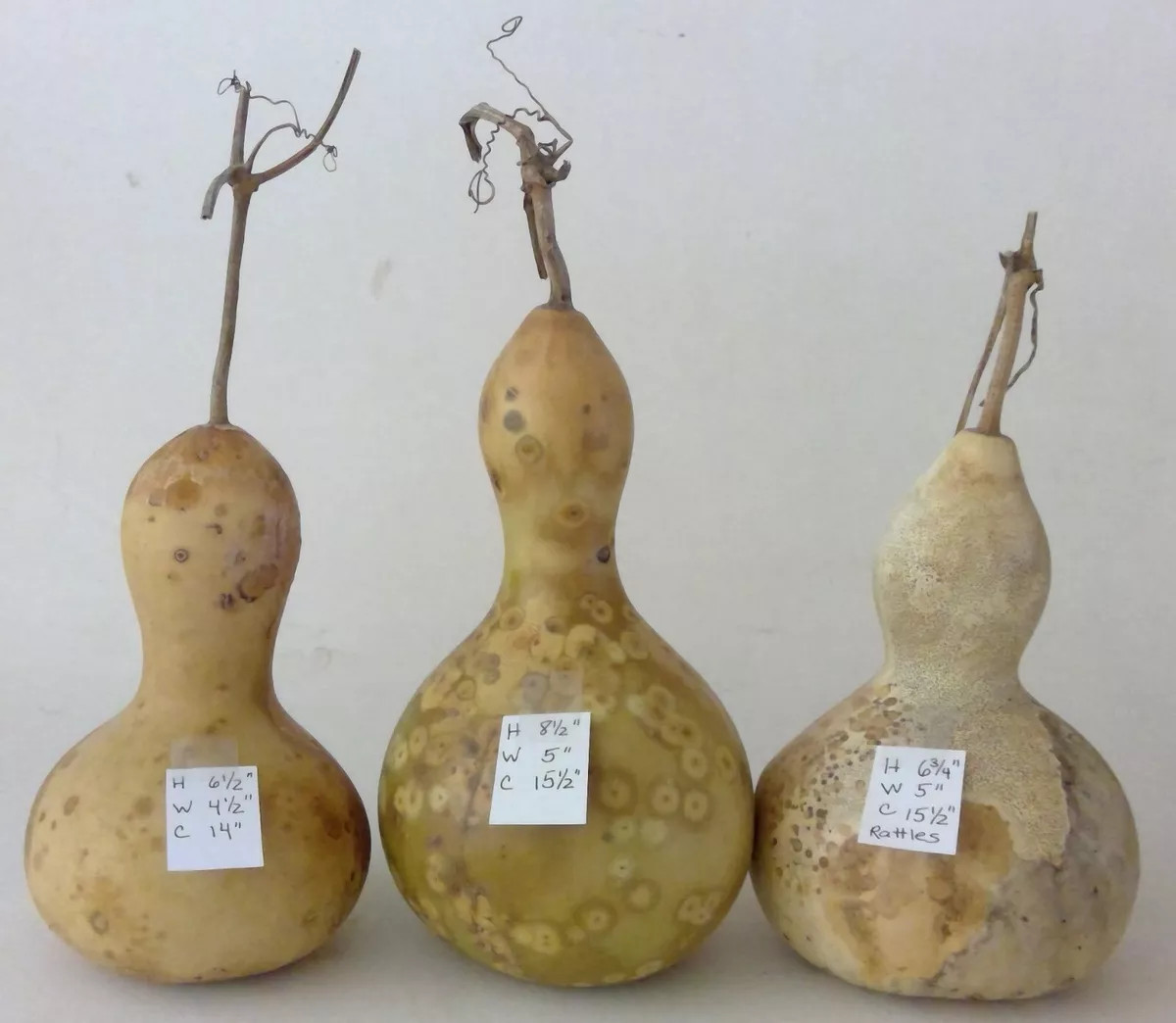 Three 4 to 5 Inches Wide Dried Bottle Gourds Bird Houses, Bowls, Crafts, Decor  | eBay | eBay US