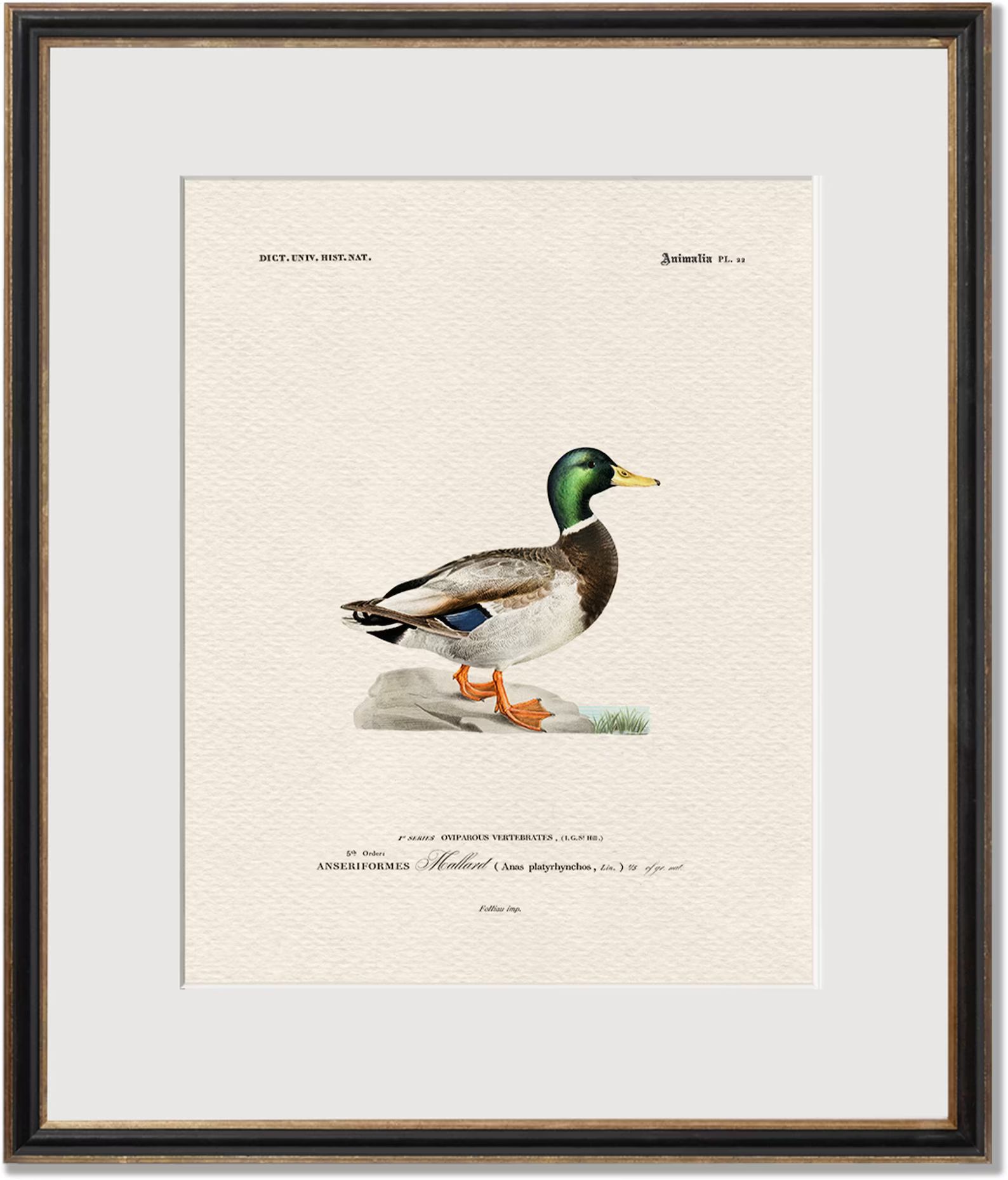Choose From Nine Vintage Duck Prints for Your Man Cave or - Etsy | Etsy (US)