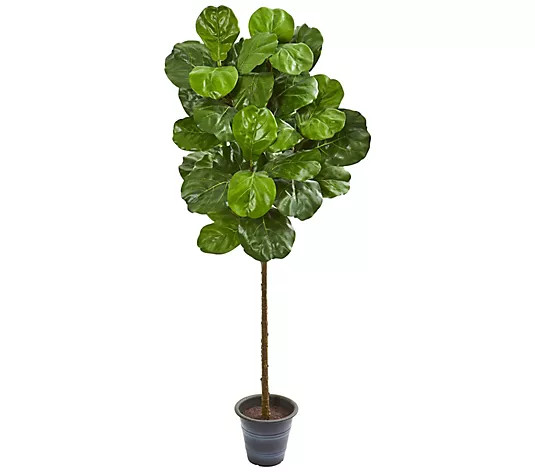 Make Your Selection: 5' Fiddle Leaf Tree With Planter by Nearly Natural | QVC