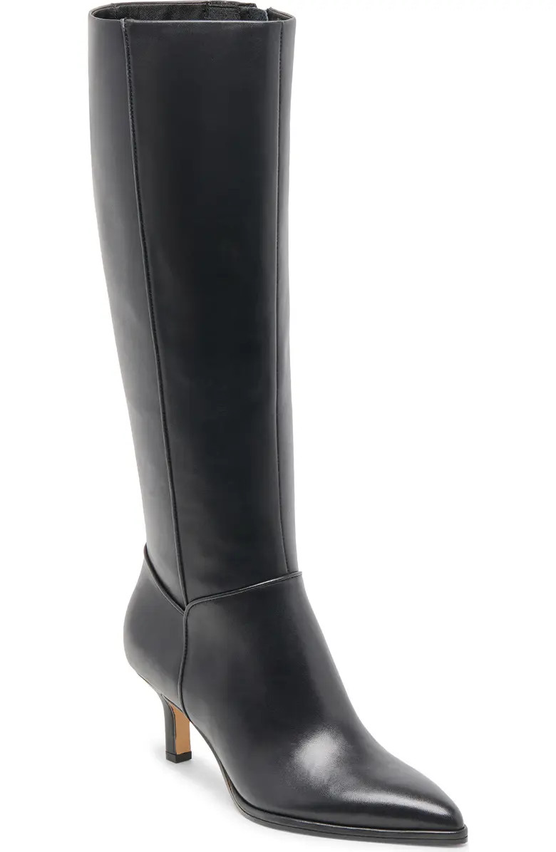 Aldy Pointed Toe Knee High Boot (Women) | Nordstrom