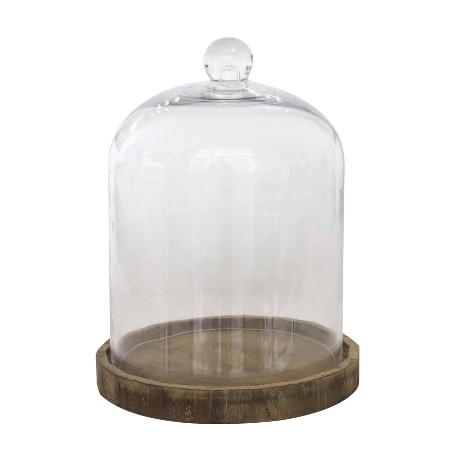 Stonebriar Small Stonebriar 8 Inch Clear Glass Dome Cloche with Rustic Wooden Base, Brown | Amazon (US)